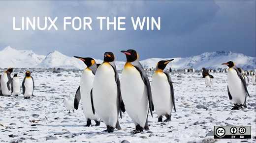 Penguins gathered together: Linux for the win